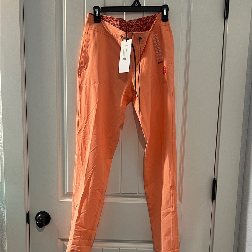 Brand new Stio CFS Board pants